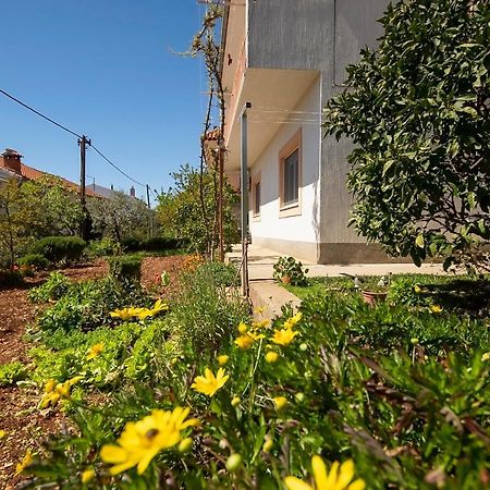 Apartman Mia Šibenik Dış mekan fotoğraf