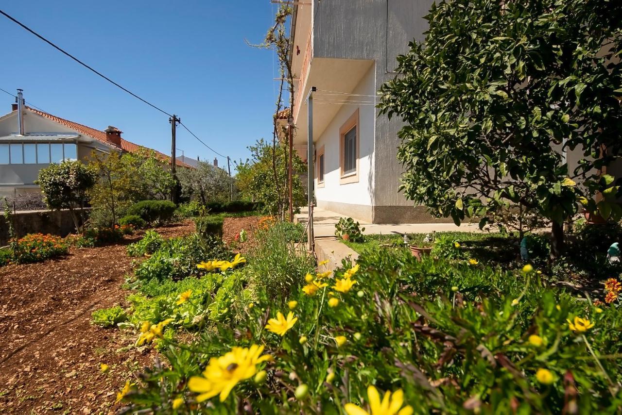 Apartman Mia Šibenik Dış mekan fotoğraf